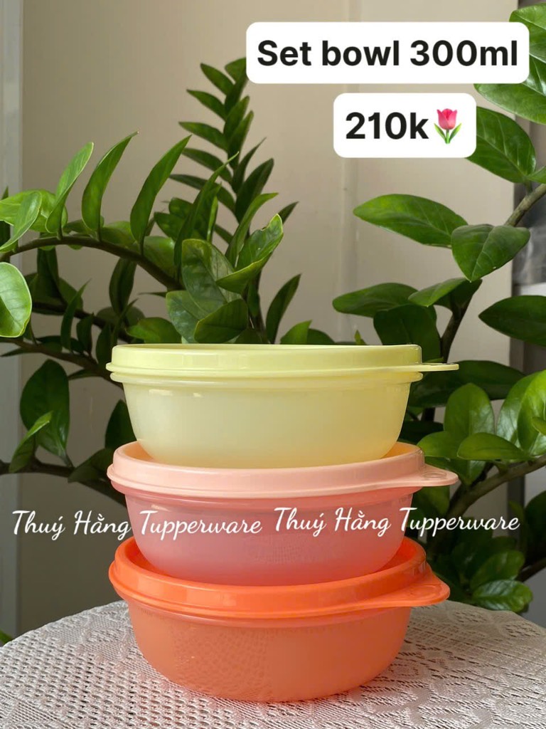 Tuptrung - Set trữ mát và khô Junior Bowl (300ml) - Màu pastel