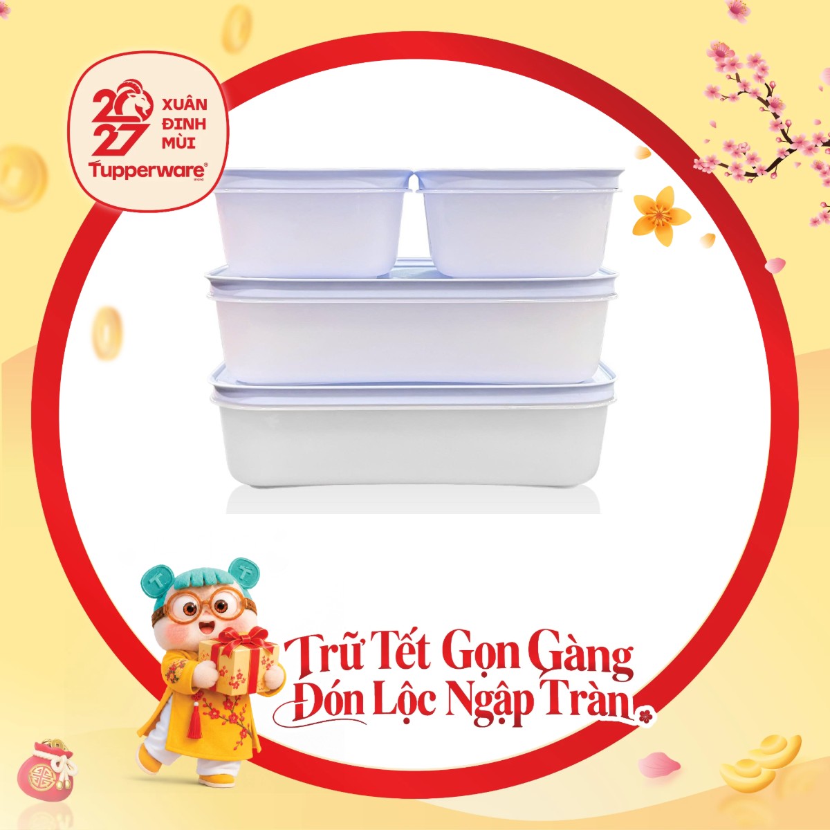 Bộ 4 Hộp Trữ Đông Tupperware Gen II 450ml & 1L Đông Dẻo Cao Cấp