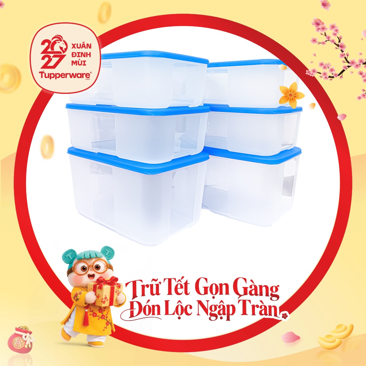 Bộ 6 Hộp Trữ Đông Tupperware Gen I Medium 2.3L & 1.5L