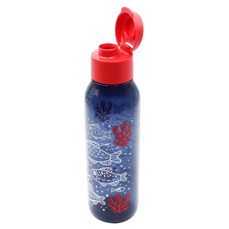 Bình Nước Eco Bottle Fancy 750ml
