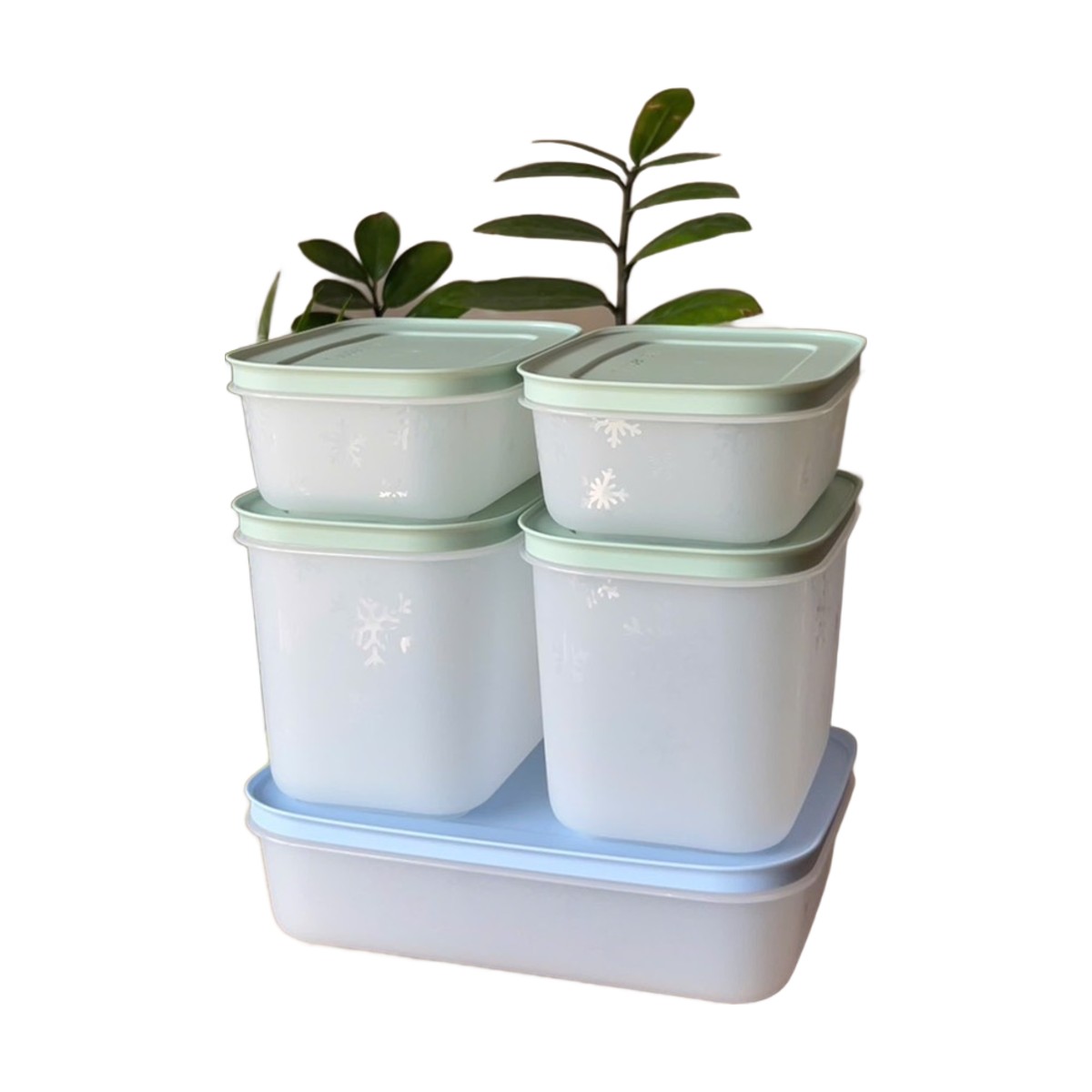 Bộ 5 Hộp Trữ Đông Tupperware Gen II 450ml, 1.1L, 1L Đông Dẻo Cao Cấp