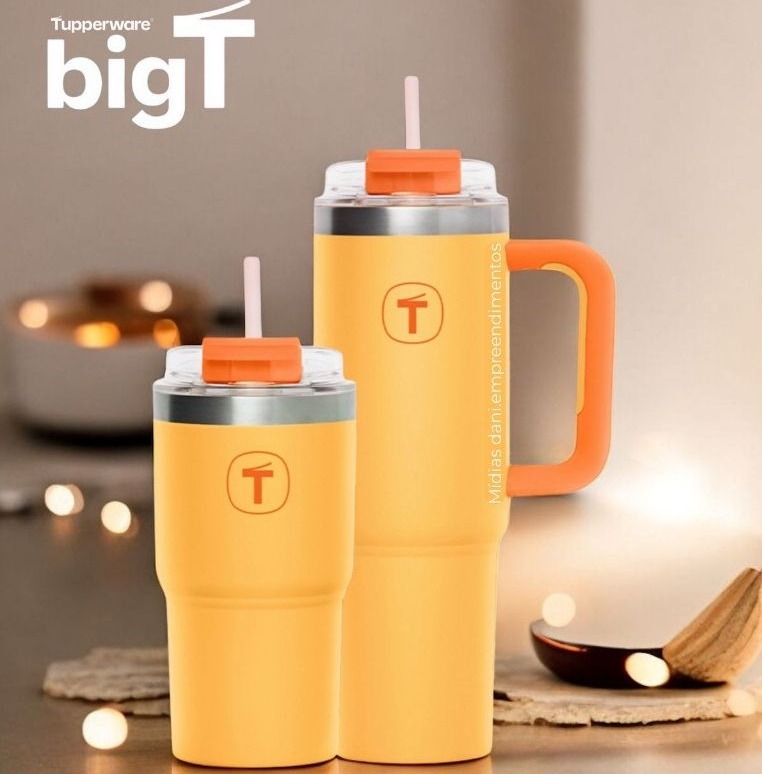 Tuptrung - Ly Giữ Nhiệt Tupperware Big T Có Ống Hút 660ml / 1.1L