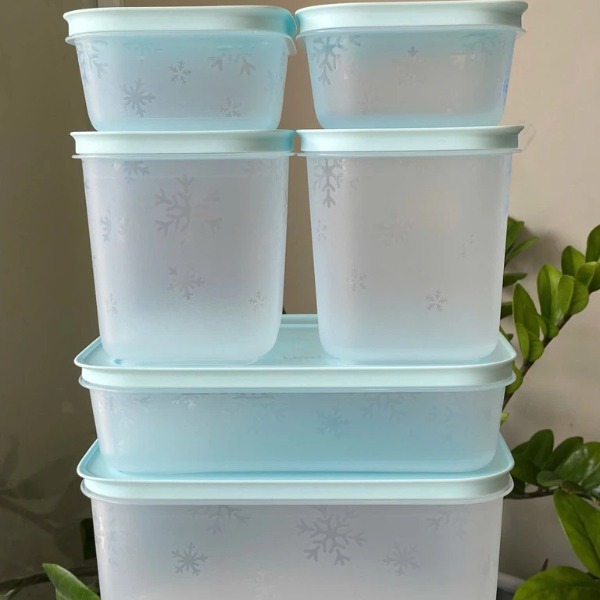 Combo Tuptrung - 6 Hộp đông thân trong bông tuyết - gồm 2h 450ml 2h 1.1L 1h dẹp 1L 1h 2.5L - Tupperware