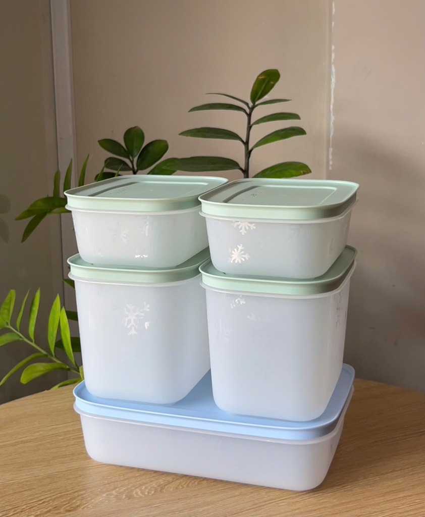 Bộ 5 Hộp Tupperware Trữ Đông Gen II Conterner - Đông Dẻo Cao Cấp - New Tupperware