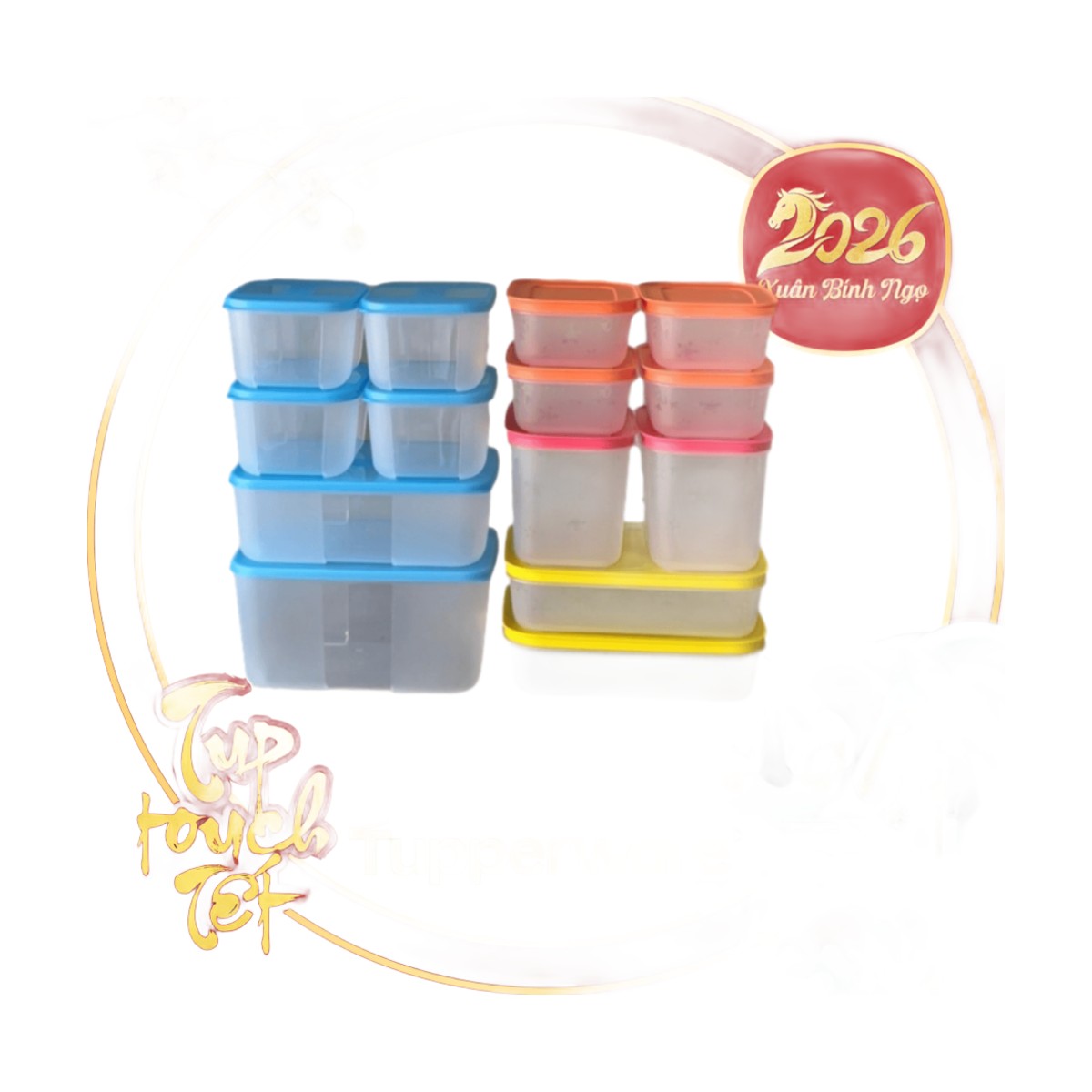 Bộ 14 Hộp Trữ Đông Tupperware Đa Size