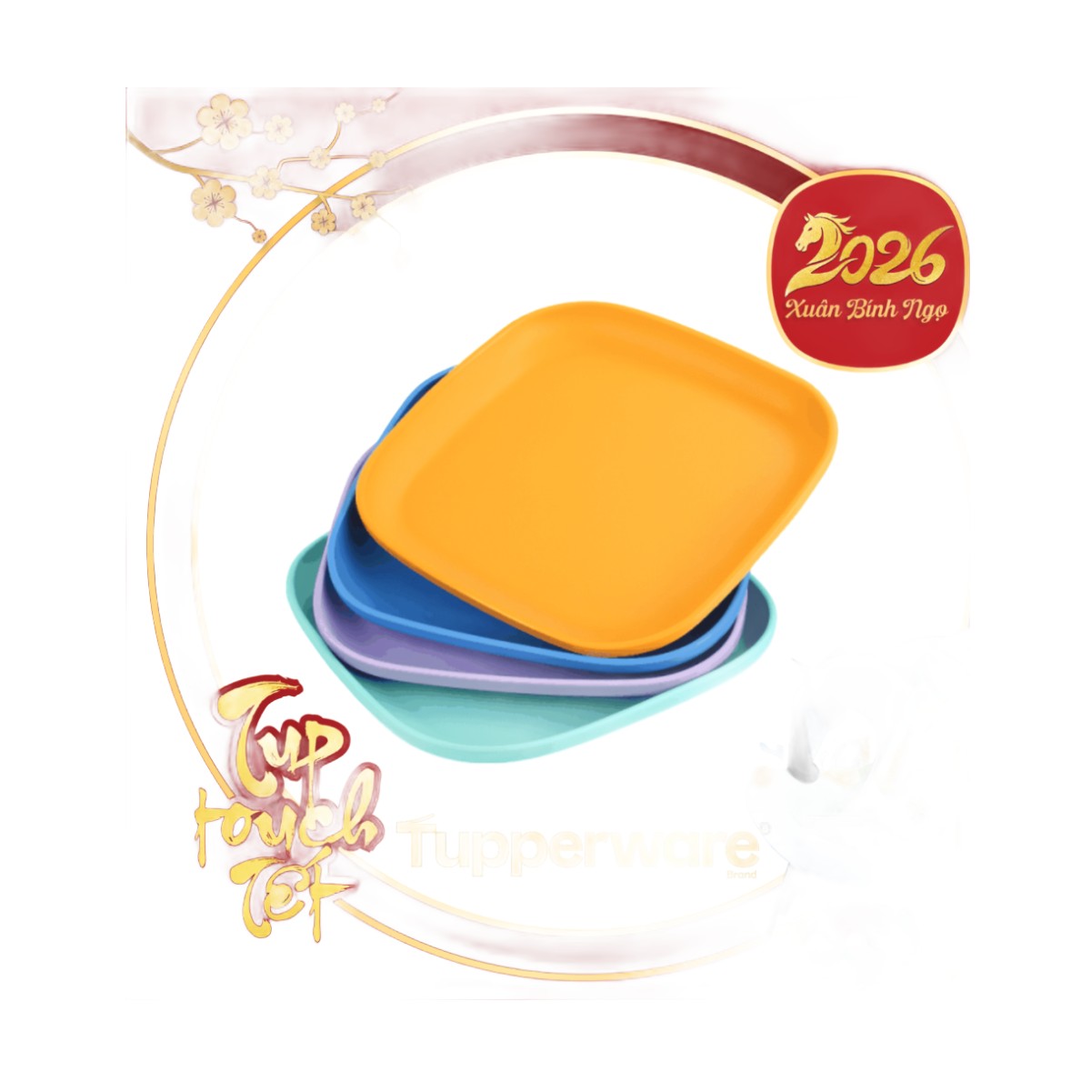 Bộ 4 Đĩa Vuông Tupperware 20cm - 4 Màu 2025