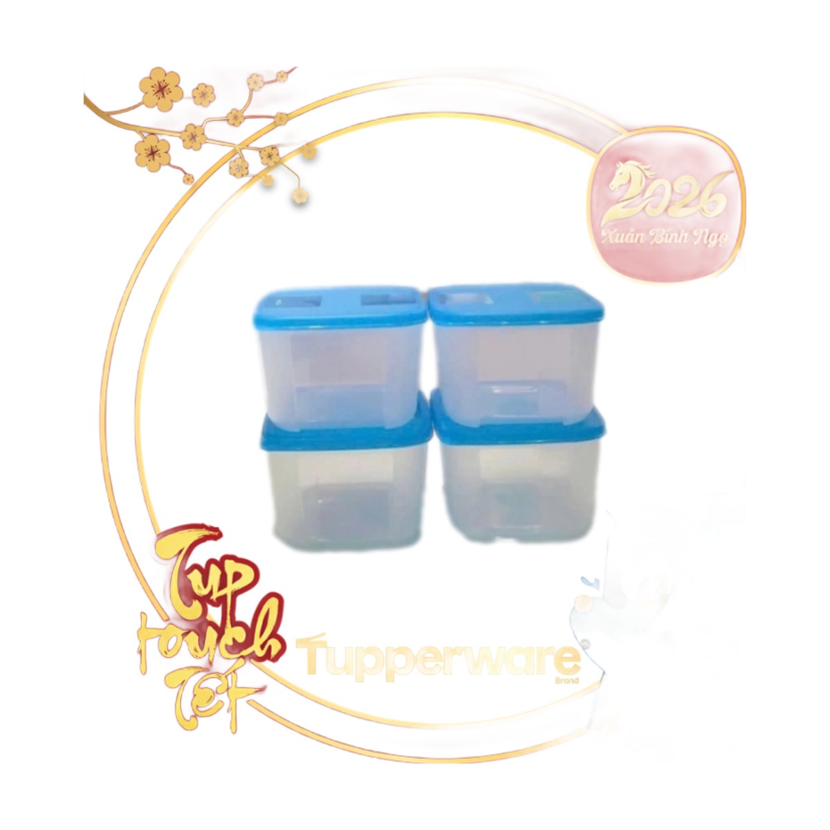 Bộ 4 Hộp Trữ Đông Tupperware Basic 650ml - Nắp Xanh