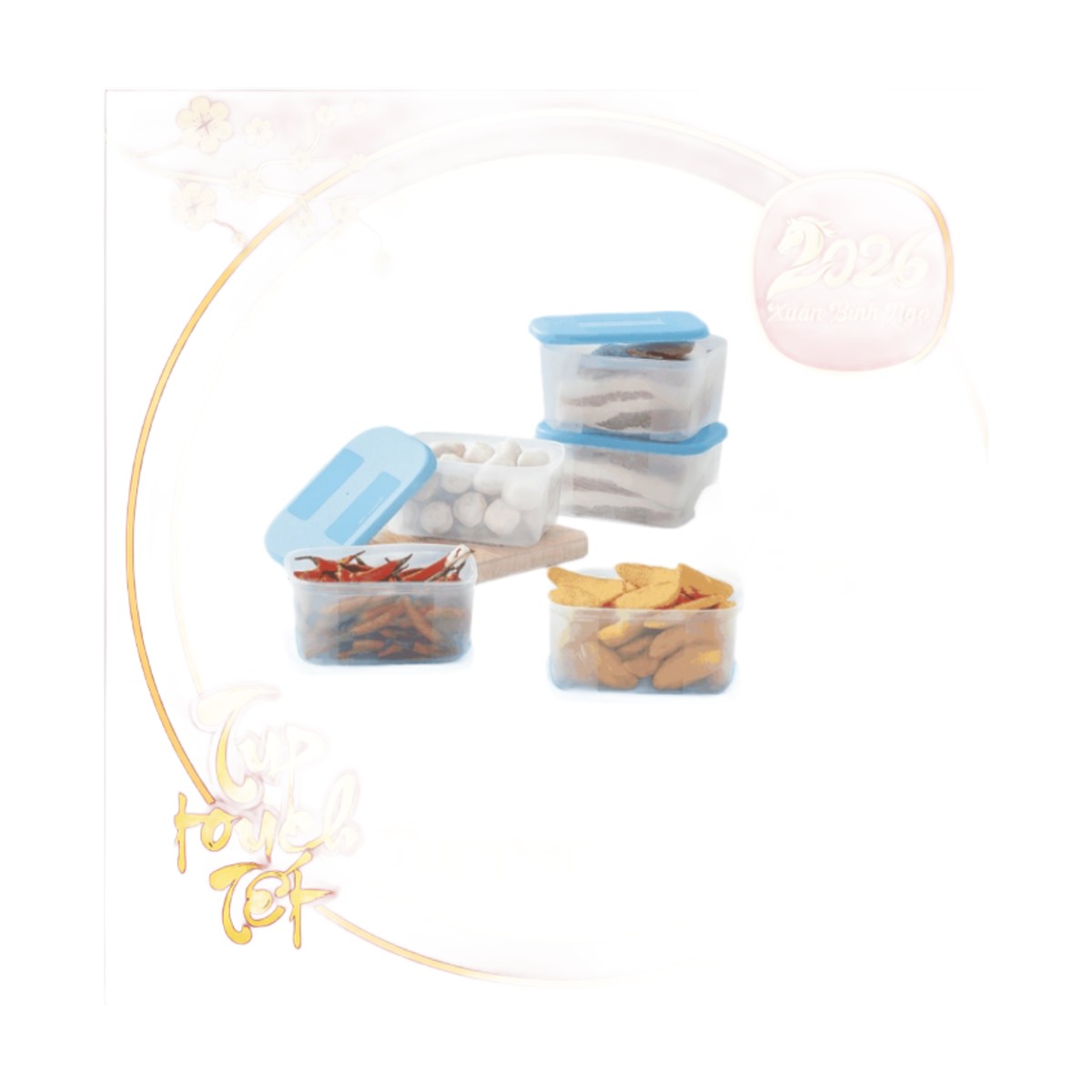 Bộ 6 Hộp Trữ Đông Tupperware Basic 650ml - Nắp Xanh
