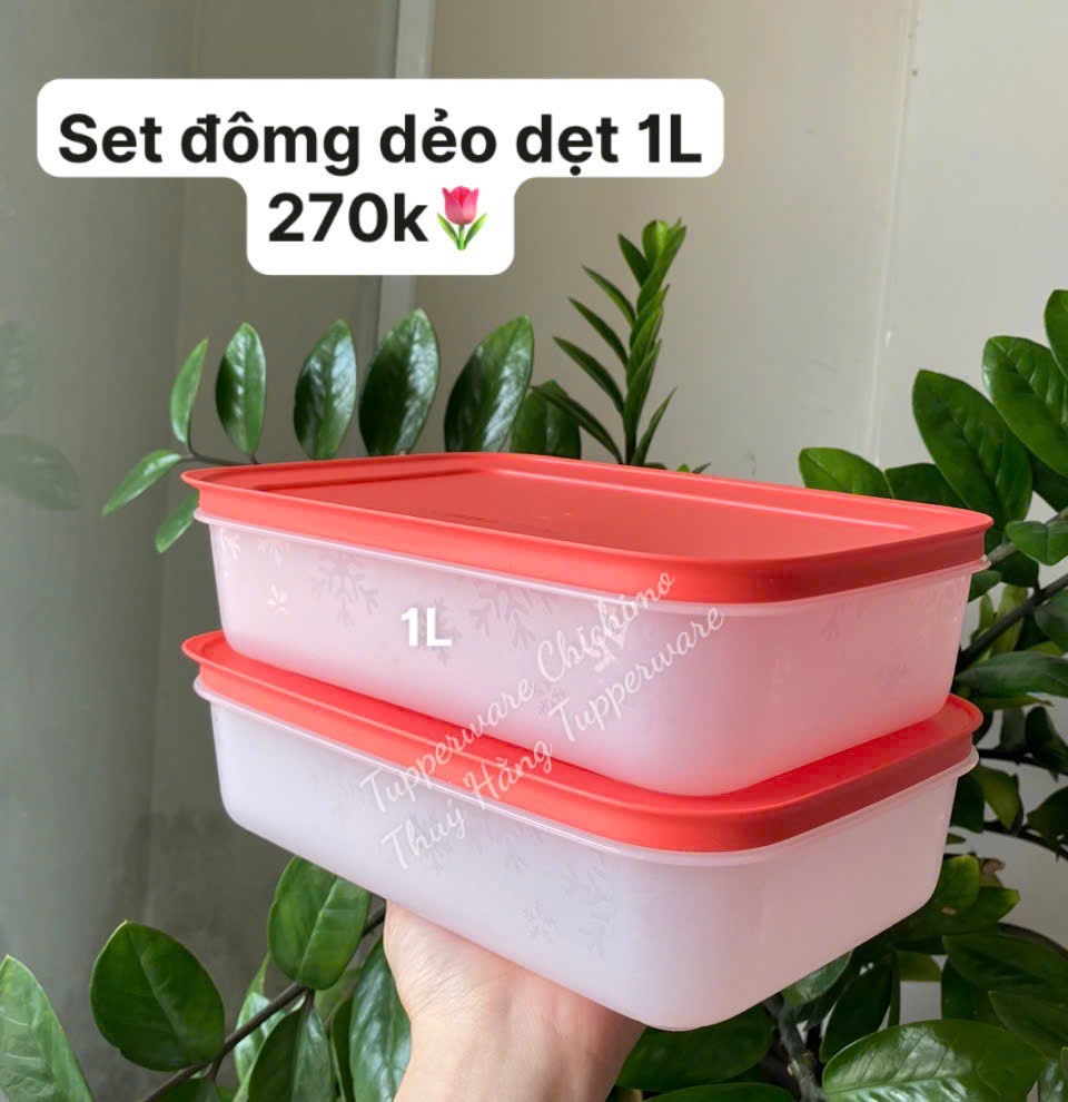 Hộp Tupperware Đông dẻo 1 lít - nắp cam đậm mớip