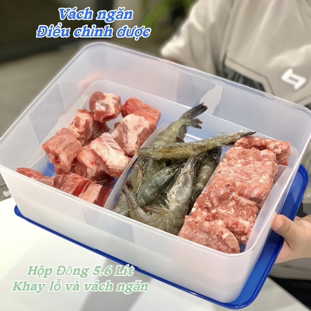 Hộp Tupperware Trữ Đông Có Khay Lót Đáy 5.7L - NEW TUPPERWARE Chính Hãng