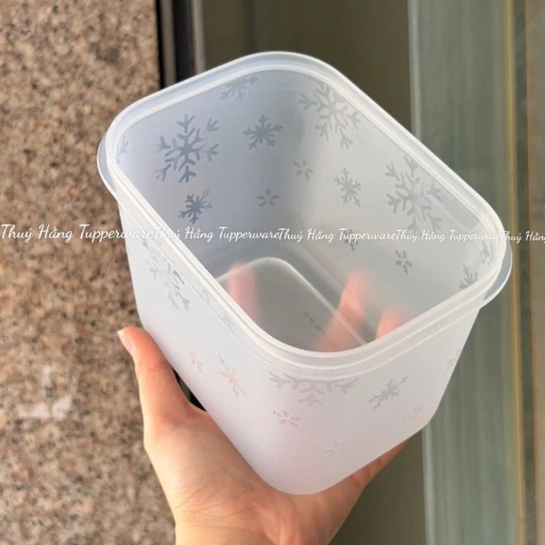 Hộp Tupperware Trữ Đông 1.1L- Đông Thân Trong Nắp Cốm - Tupperware Trung Chính Hãng