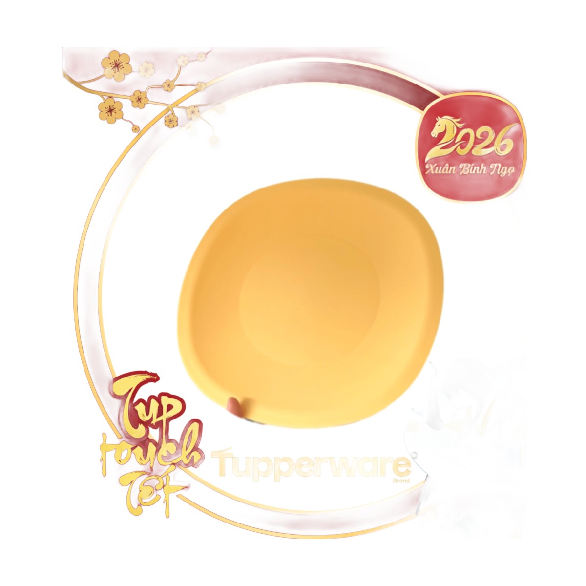 Đĩa Tupperware Dùng Lò Vi Sóng 24cm