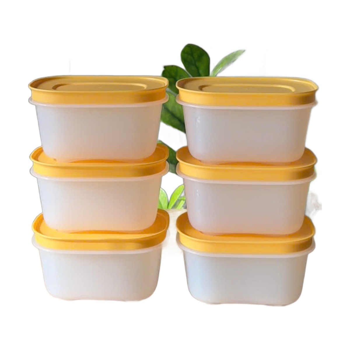 Hộp Trữ Đông Tupperware Gen II 170ml Đông Dẻo - Nắp Vàng