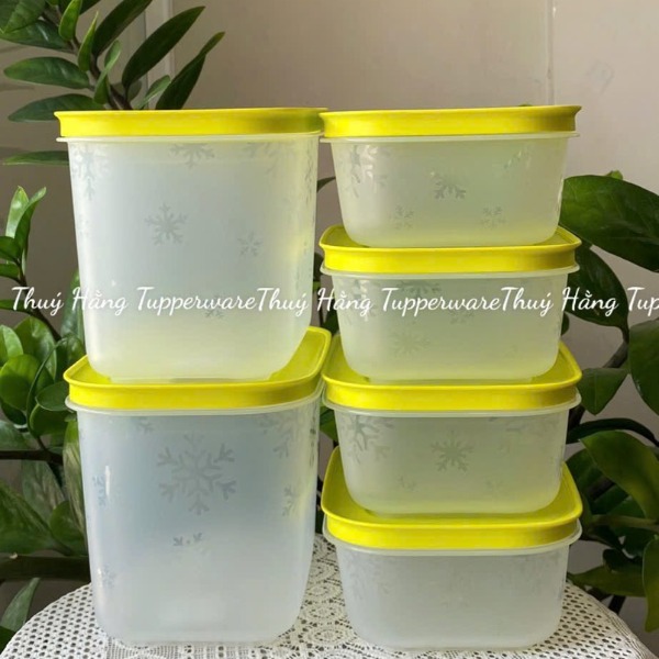 Bộ 6 Hộp Tupperware Trữ Đông  4 Hộp 450ml+2 Hộp 1.1L - Nắp Cốm Đông Thân Trong Bông Tuyết - Tupperware Trung Chính Hãng