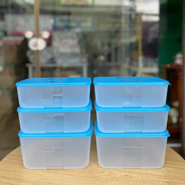 Bộ 6 Hộp Tupperware Trữ Đông Gen I Medium 2.3L & 1.5L - New Tupperware