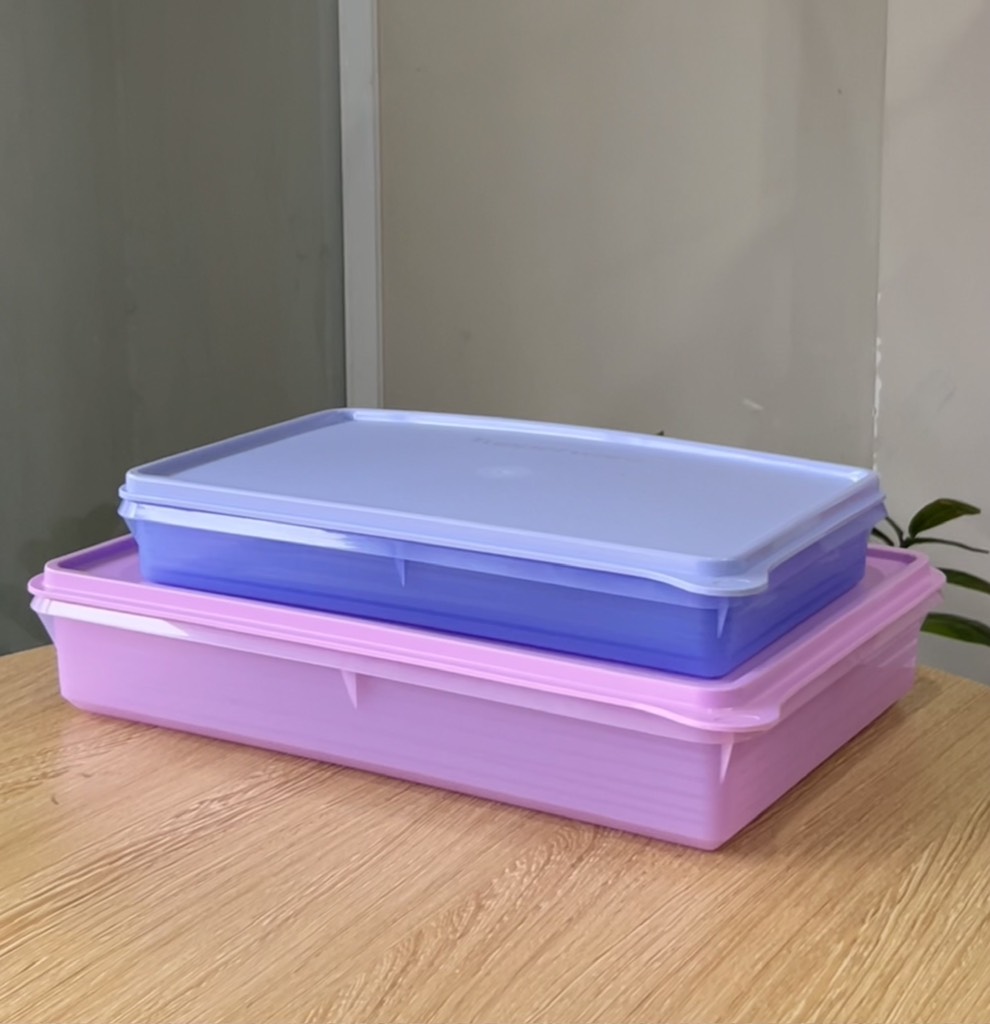 Hộp Tupperware Trữ Mát Cold Cut Keeper - Tupperware Malaysia Chính Hãng