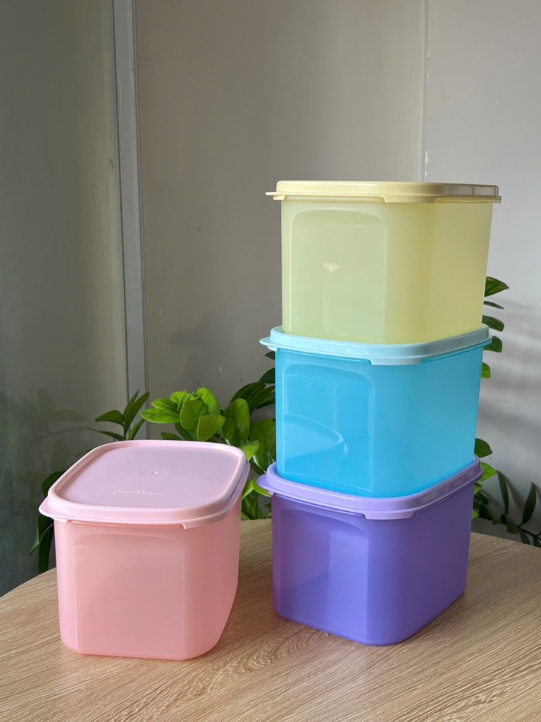 TupMalay - Hộp Tupperware mát colorful 1.9lit (4 màu)