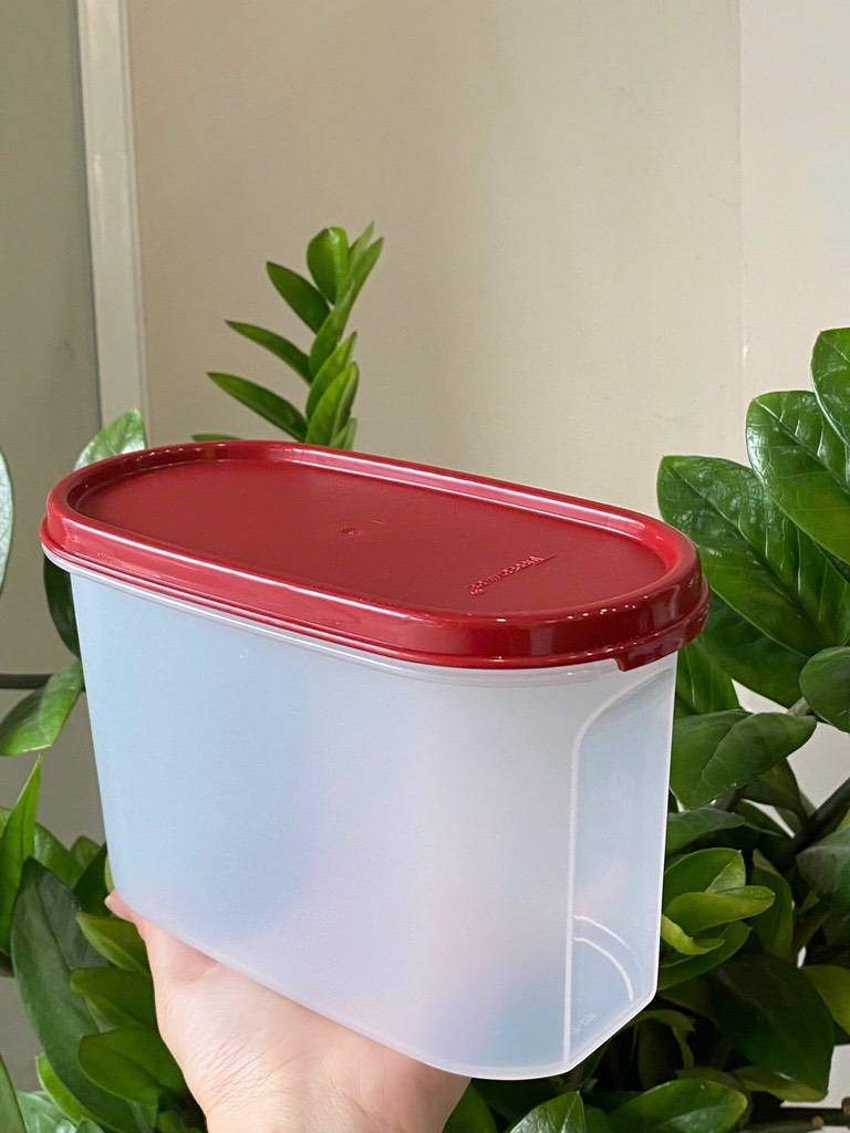 Hộp Tupperware khô 1.1 lít - nắp đỏ