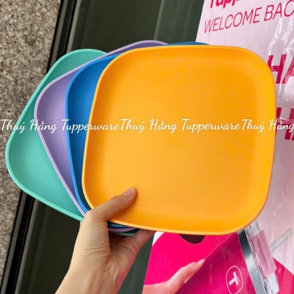 Combo Bộ Đĩa Tupperware Vuông 20cm -  4 Màu - Năm 2025 - Tupperware Trung Chính Hãng