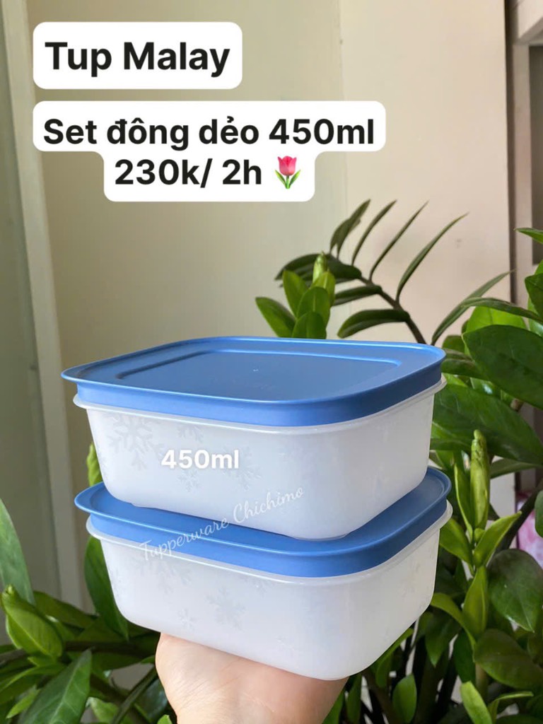 Tupmalay - Hộp Đông Dẻo Tupperware Chill Freez Medium High 450ml (01 Hộp)