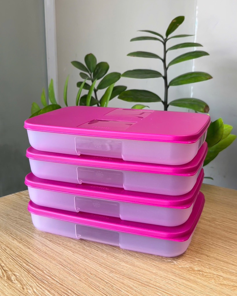 Hộp Tupperware Trữ Đông 650ml Dẹt - Nắp Hồng