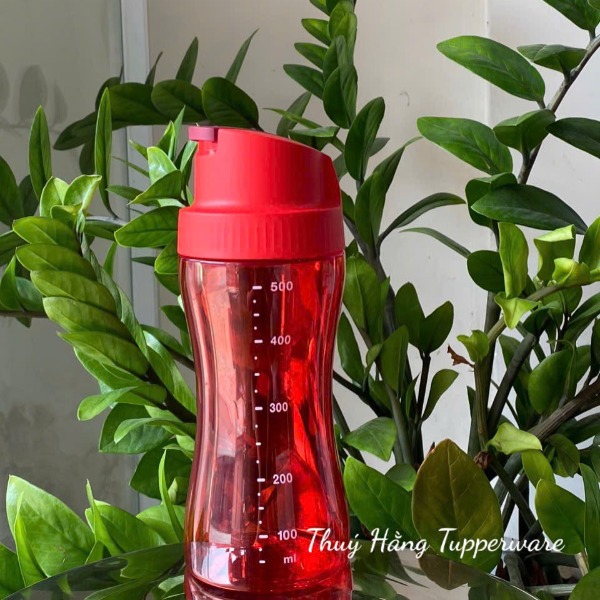 Tuptrung Bình Rót Dầu, Nước Mắm... Full Màu Đỏ 570ml