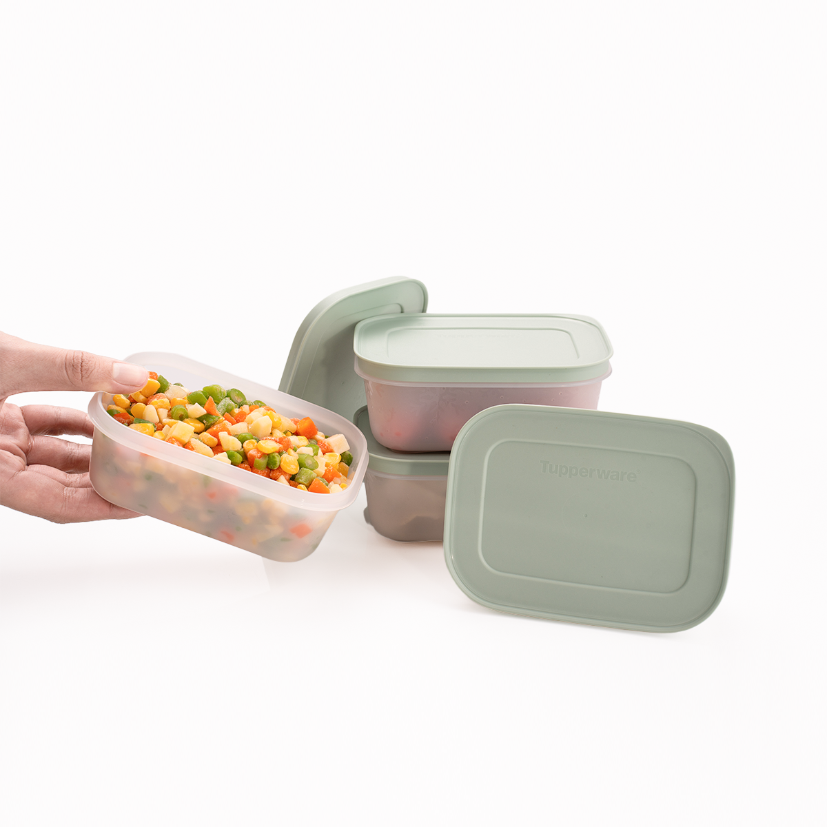 Hộp Đựng Thực Phẩm Tupperware Trữ Đông  Freezable 450ml  - Đông Dẻo - New Tupperware Chính Hãng