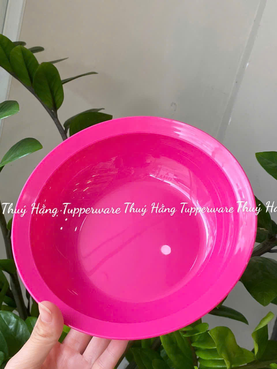 Dĩa/ đĩa Sâu Lòng Everyday Plate Set 4 Tupperware 4 Màu 17.5cm