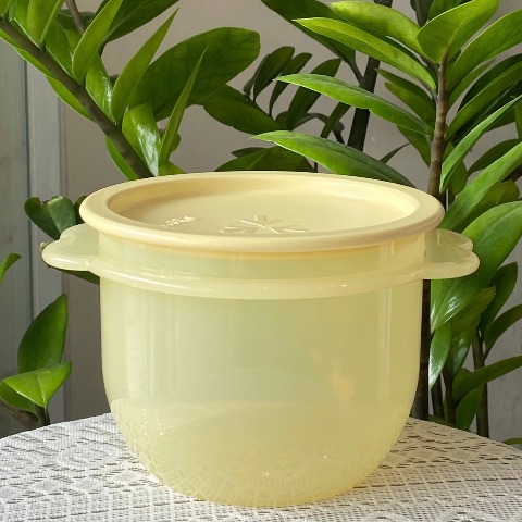 Tuptrung - Hộp Tròn Trữ Mát Tupperware Sunbowl 750ml
