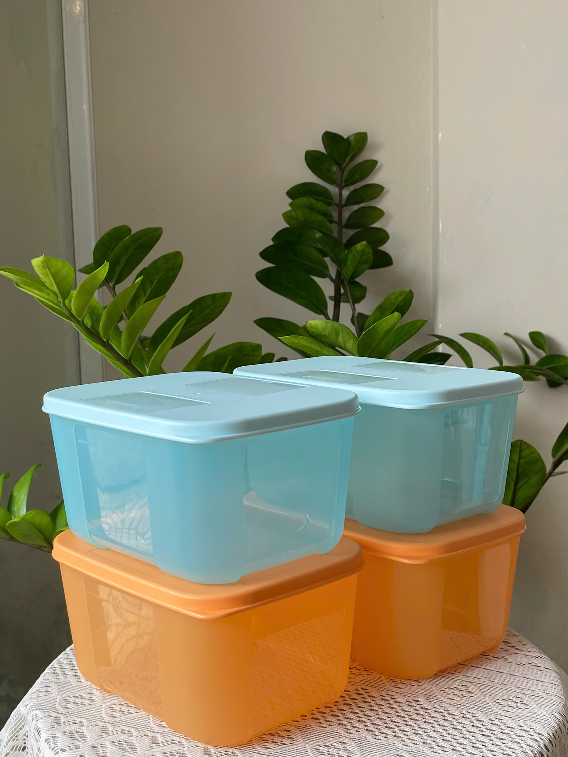 Tuptrung - Hộp Đông 650ml Basic Thân Màu