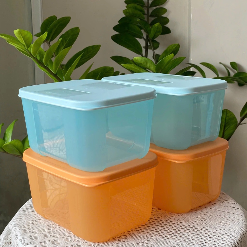 Set 4 Hộp Tuptrung 650ml Basic Thân Màu (4 Hộp)