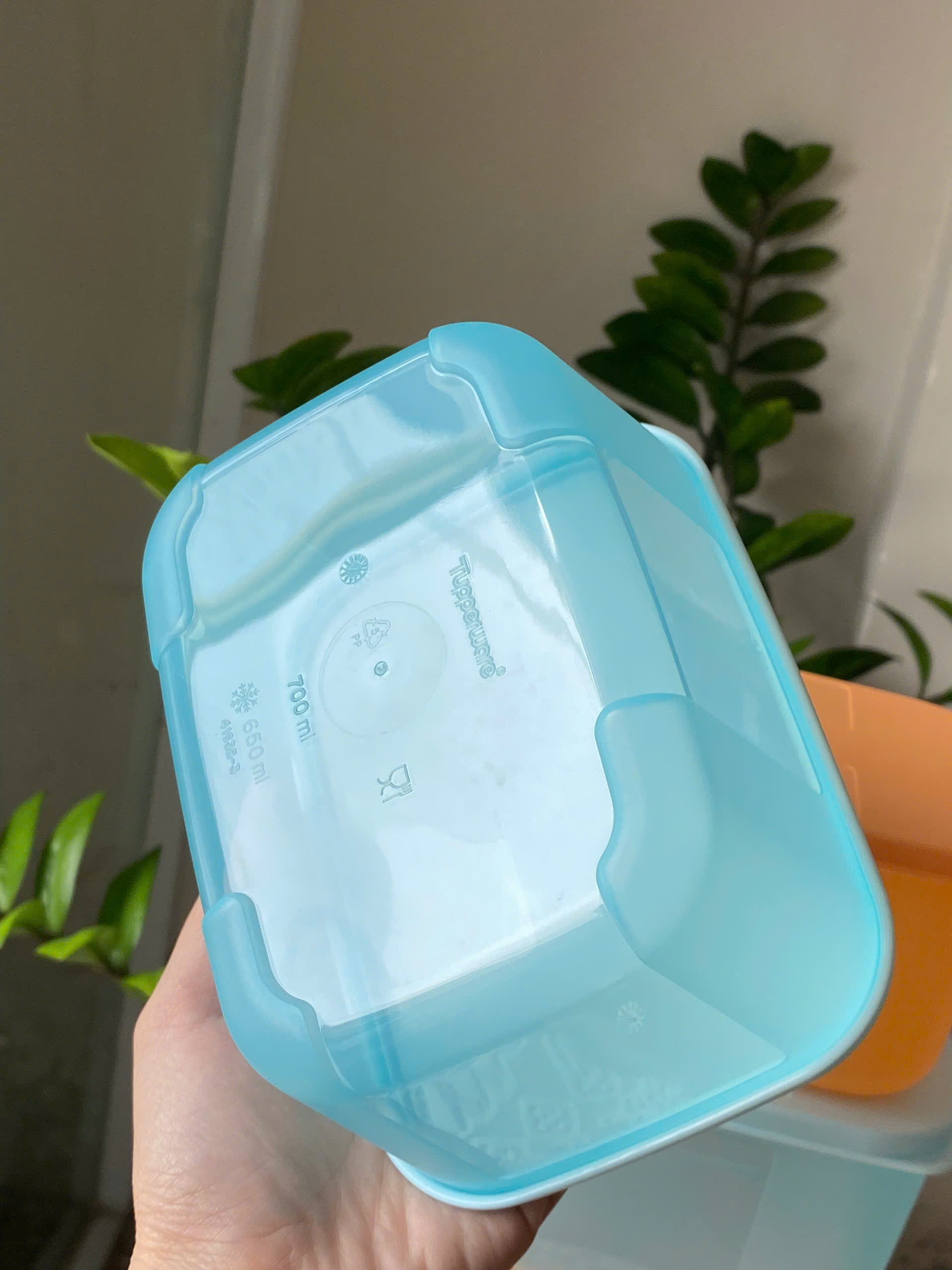 Tuptrung - Hộp Đông 650ml Basic Thân Màu