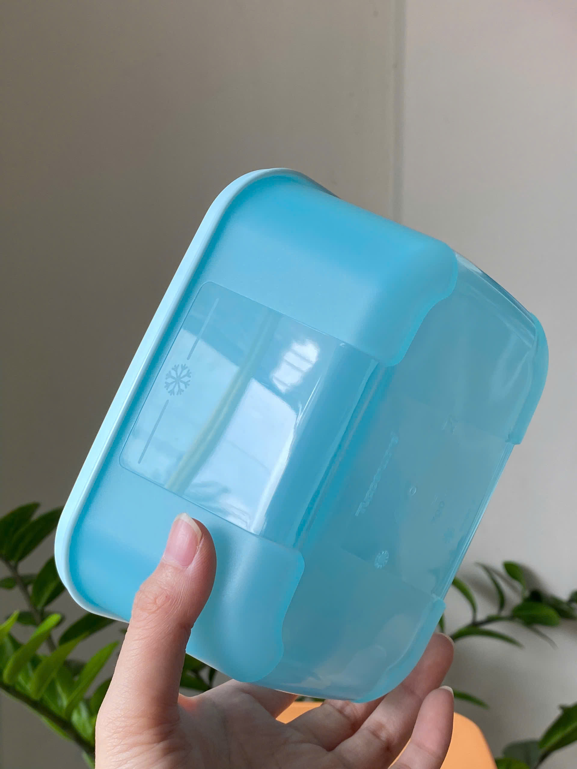Tuptrung - Hộp Đông 650ml Basic Thân Màu