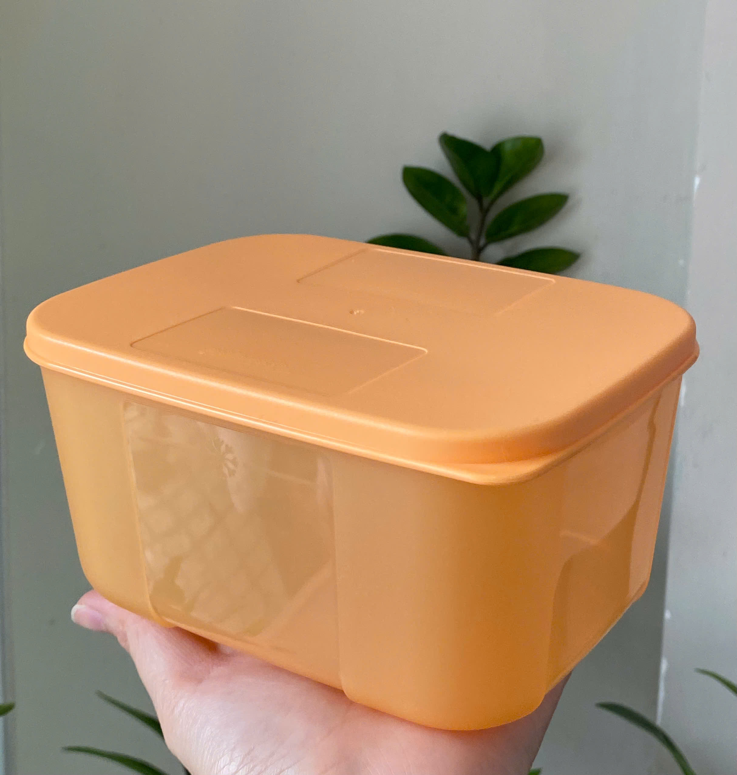 Tuptrung - Hộp Đông 650ml Basic Thân Màu