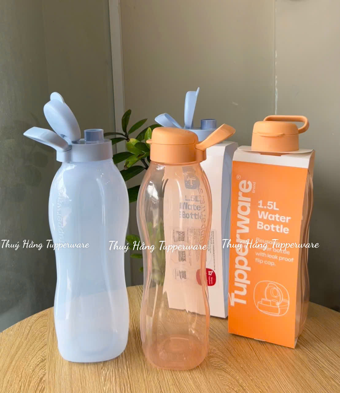 Bình Nước Tupperware Eco Bottle Gen I 1.5L - New Tupperware