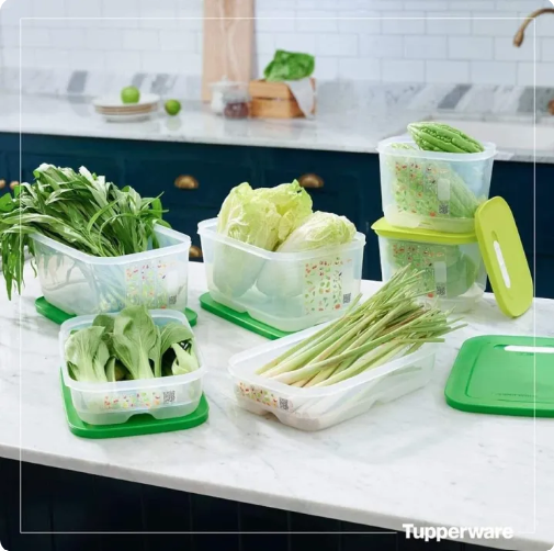 Bộ Hộp Trữ Mát Tupperware Ventsmart Hộp Có Nút Hô Hấp (06 Hộp)