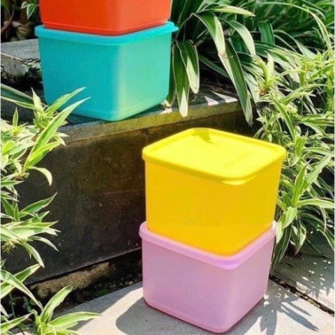 Bộ Hộp BQTP Tupperware Medium Square Round 4 Hộp 1L