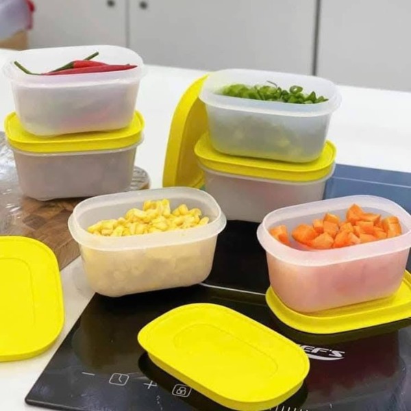 Trọn Bộ Hộp Tupperware Trữ Đông Mini Freezermate Gen II 170ml (6 Hộp)