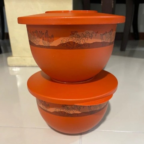 Tupmalay - Hộp Tô Tròn Expression Bowl 2.5L Màu Cam (Limited)