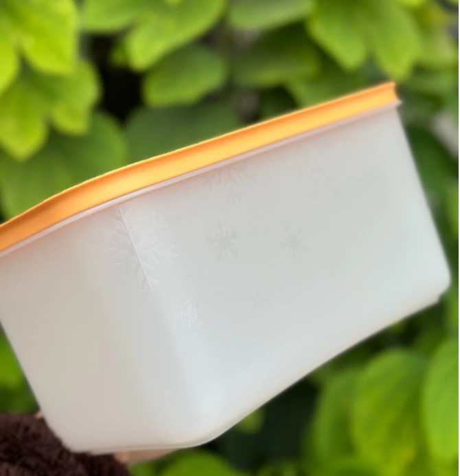 Tuptrung Hộp đông dẻo 2.5lit - nắp cam
