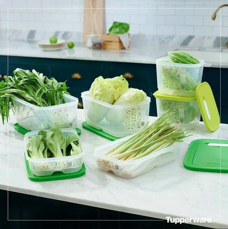 Combo Trọn Bộ Hộp Trữ Mát Tupperware Có Nút Hô Hấp VENTSMART 6 – Nhãn APAC