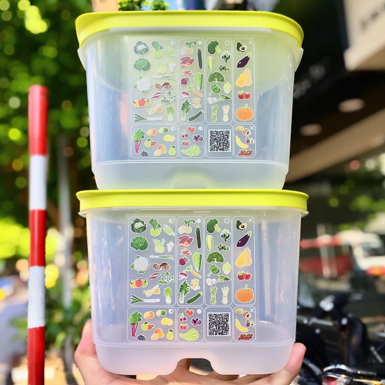 Combo Trọn Bộ Hộp Trữ Mát Tupperware Có Nút Hô Hấp VENTSMART 6 – Nhãn APAC