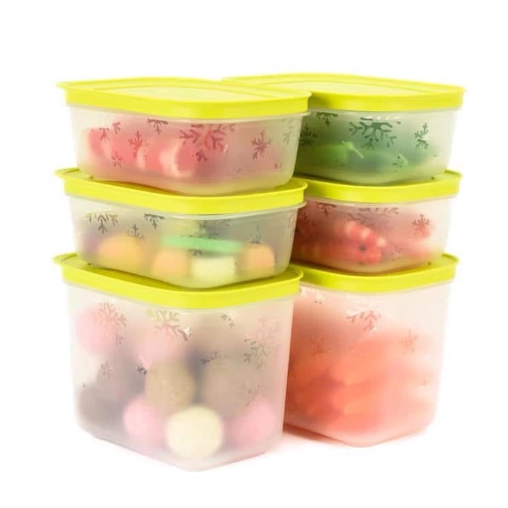 Bộ 6 Hộp Tupperware Trữ Đông  4 Hộp 450ml+2 Hộp 1.1L - Nắp Cốm Đông Thân Trong Bông Tuyết - Tupperware Trung Chính Hãng