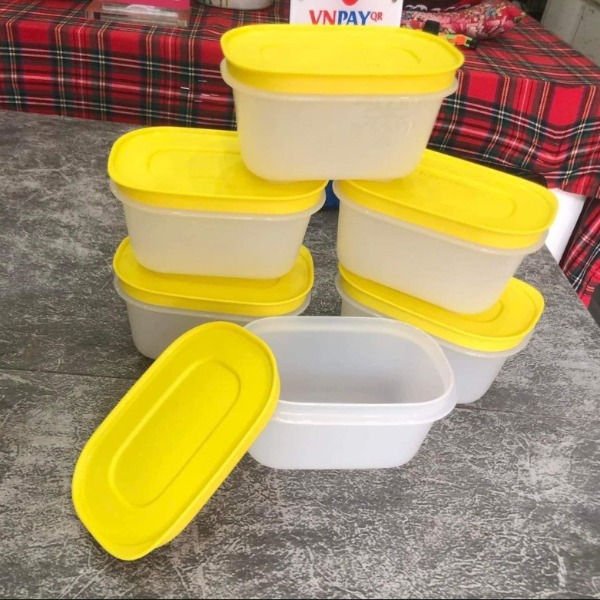 1/2 Bộ Hộp Tupperware Trữ Đông Mini Freezermate Gen II 170ml (3 Hộp)