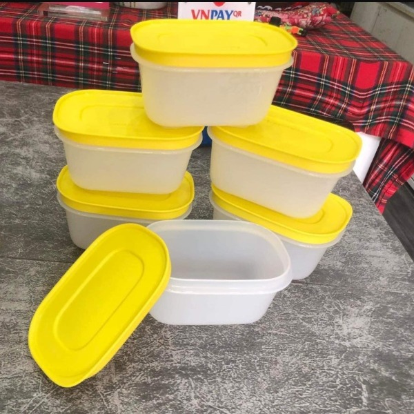 Trọn Bộ Hộp Tupperware Trữ Đông Mini Freezermate Gen II 170ml (6 Hộp)