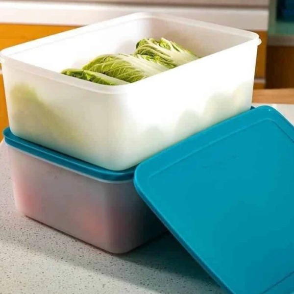 Bộ hộp trữ đông Tupperware Freezermate Gen II 5.7L (01 Hộp)