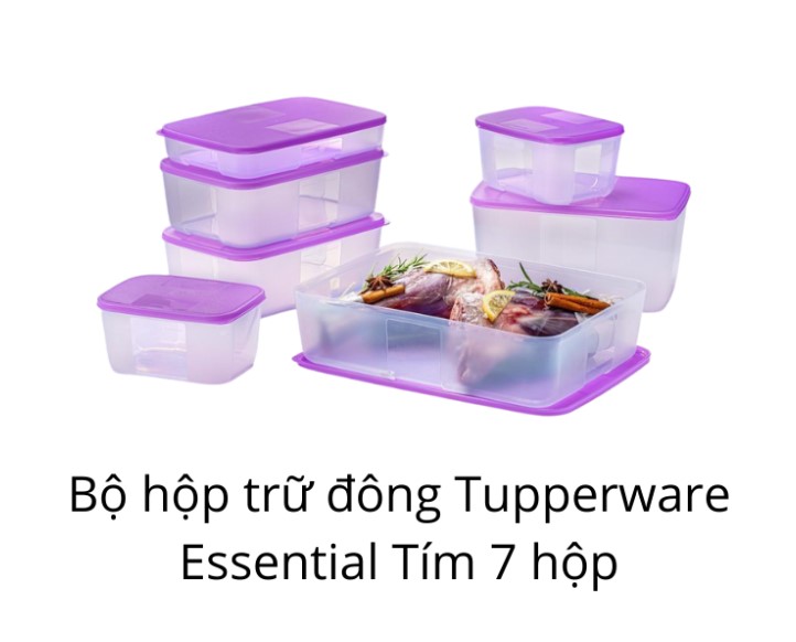 Bộ 7 Hộp Tupperware Trữ Đông Freezermate Essentail 650ml-1.5L-2.3L-3.1L -Tupperware Chính Hãng