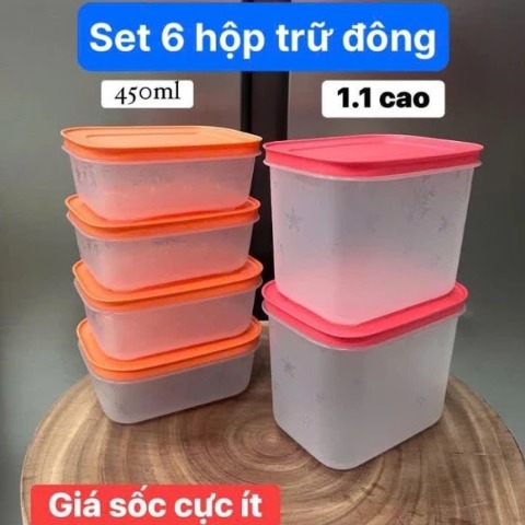 Bộ 6 Hộp Tupperware Trữ Đông  4 Hộp 450ml+2 Hộp 1.1L - Nắp Cam - Thân Trong Bông Tuyết  - Tupperware Trung Chính Hãng