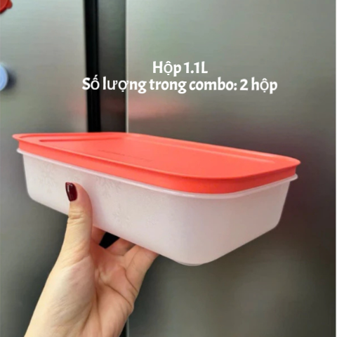 Combo Tuptrung Set Đông Dẻo 8 Hộp Nhiều Màu