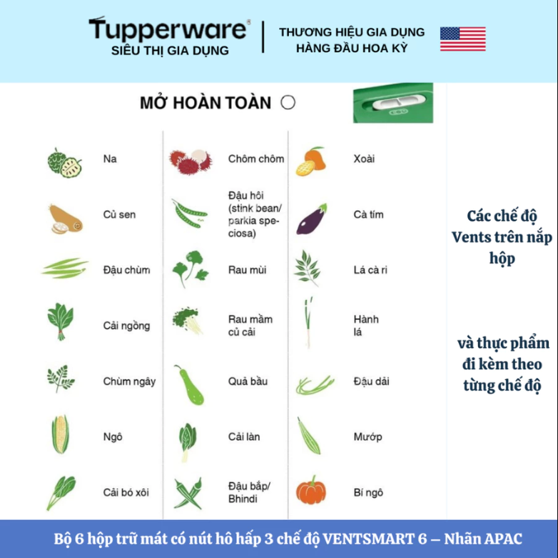 Combo Trọn Bộ Hộp Trữ Mát Tupperware Có Nút Hô Hấp VENTSMART 6 – Nhãn APAC